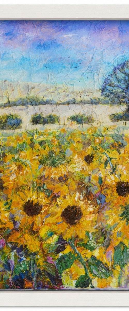 Sunflower Field by Michele Wallington