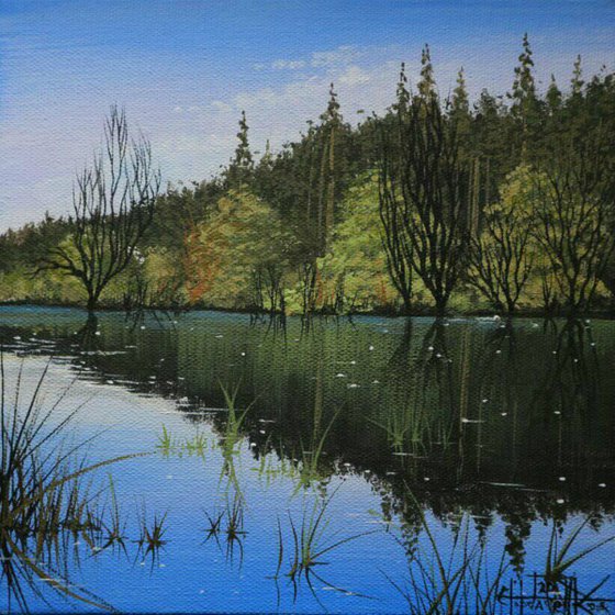 Lake. Acrylic on canvas 20*20cm