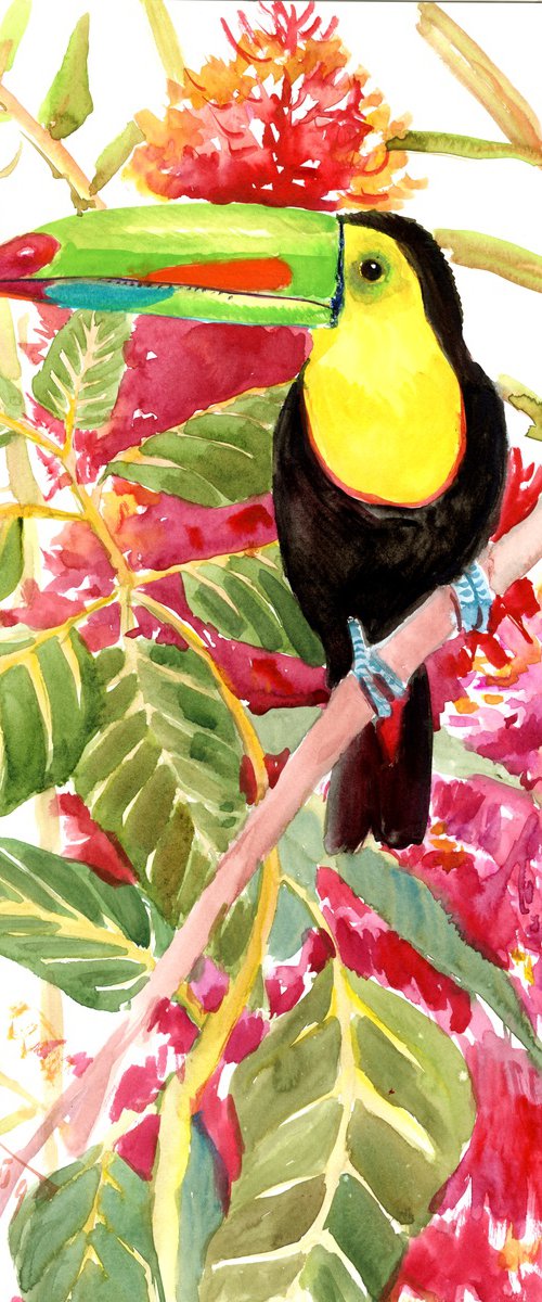 Toucan in the jungle by Suren Nersisyan