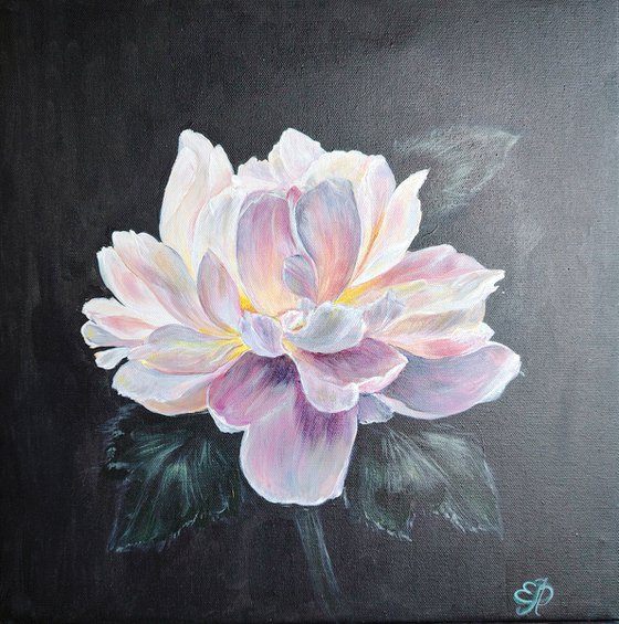Whisper of Luminescent Peony.