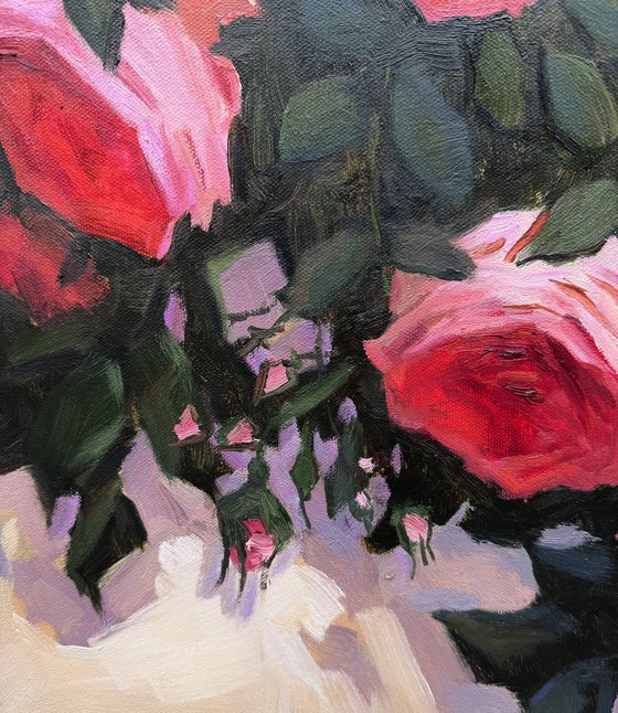 Pink Roses