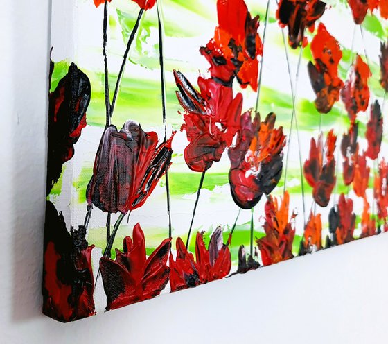 Red Poppies 1