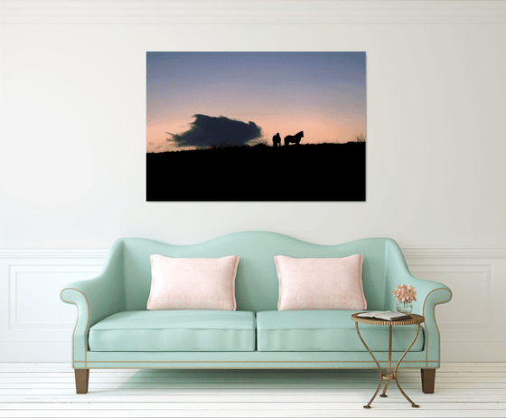 HORSES AT DUSK