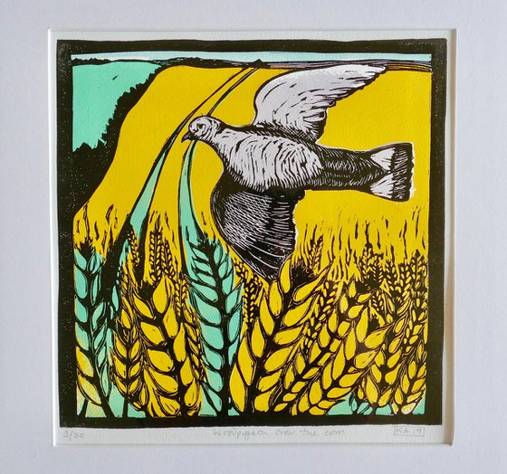 Wood pigeon over the Corn