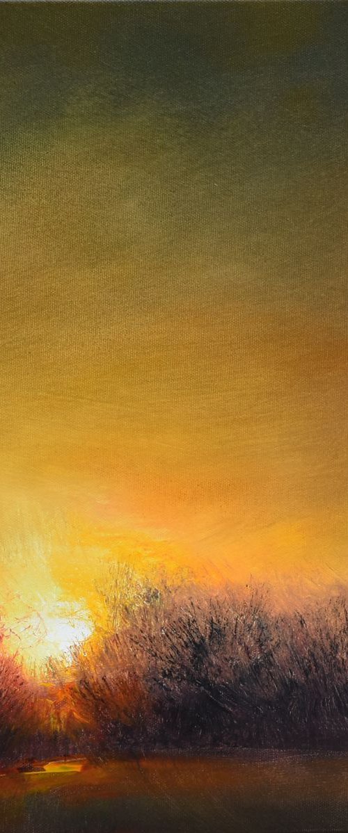 "Morning Spark".......SPECIAL PRICE!!! by Ivan  Grozdanovski