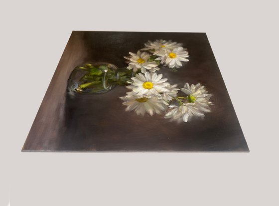 Daises. Floral Still Life