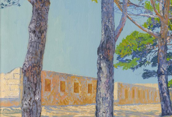 Pine trees in Fortezza. Crete