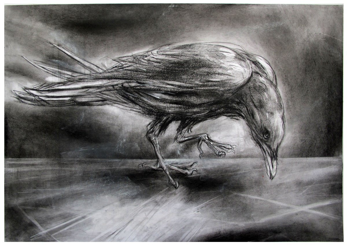 Crow, in a Box by John Sharp