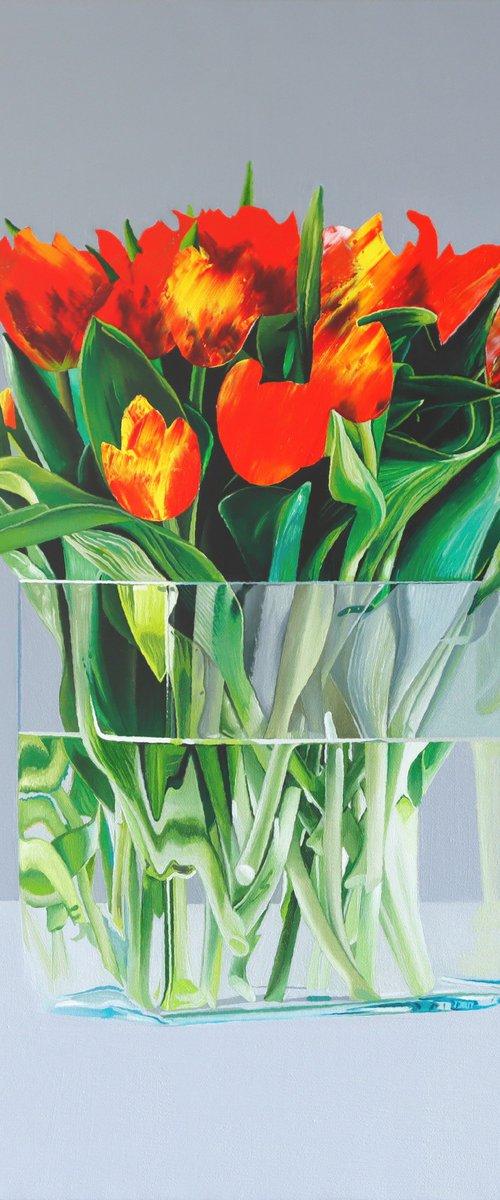Tulips (Tulipa Evanida) by Zoltan Till