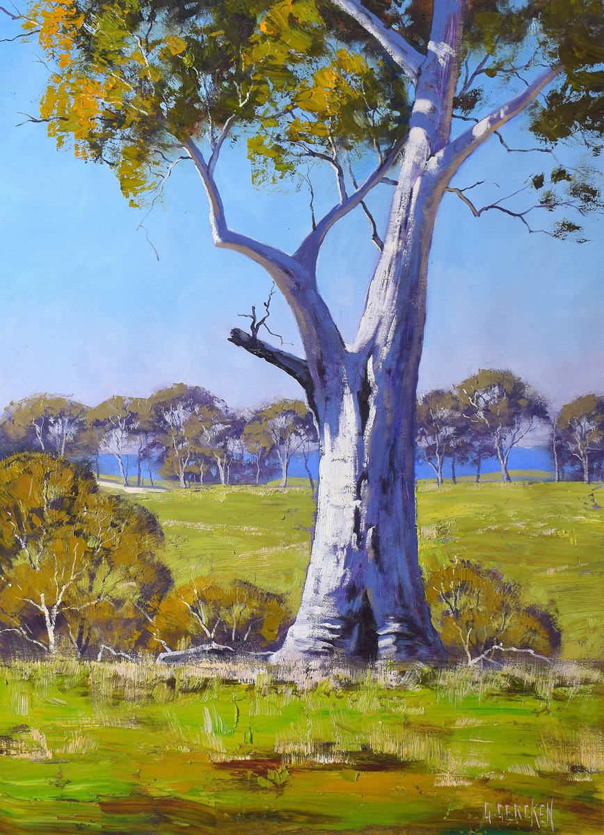 Gum Trees Australian landscape Spring green Eucalyptus trees by Graham Gercken