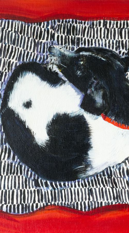 SMALL DOG OR LARGE CUSHION? by Diana Aungier-Rose