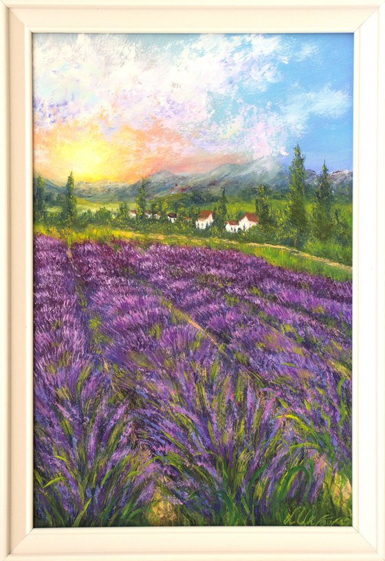 Lavender field 2