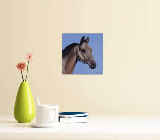 Horse portrait 37