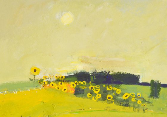 Field of sunflowers