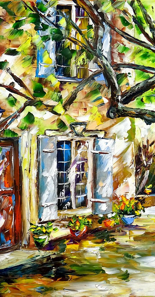 In the Light of Provence by Mirek Kuzniar