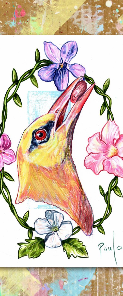 Golden oriole in bloom by Paul Ward
