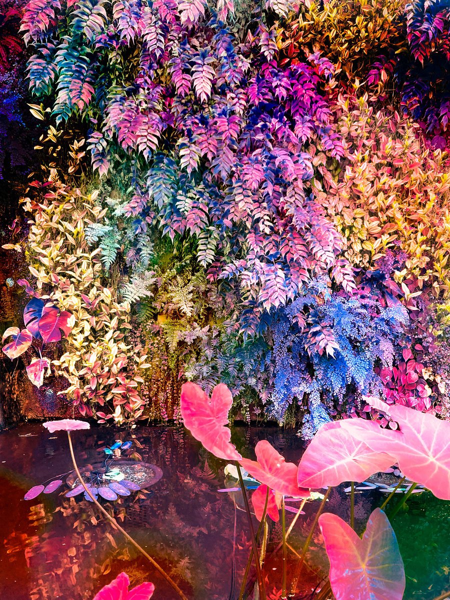 Impressionistic Botanical Photograph By Viet Ha Tran, 19 X 25", Secret Garden Vi, Original Artwork