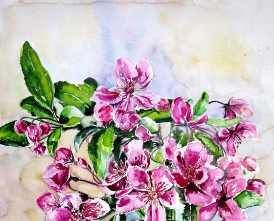 Spring from the garden