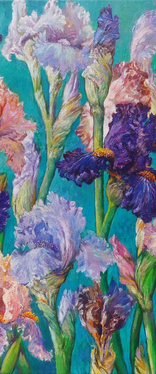 Irises. by Svitlana Koval
