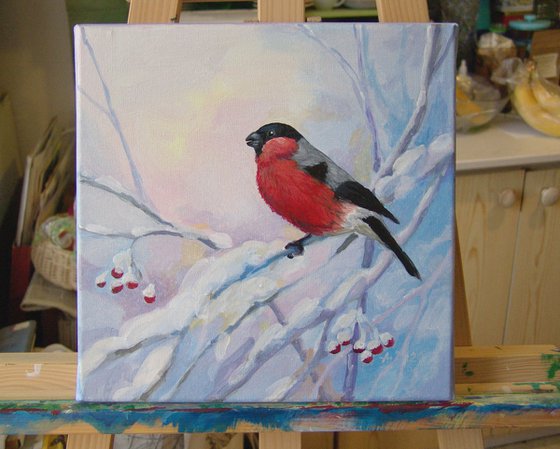 A bullfinch bird in winter