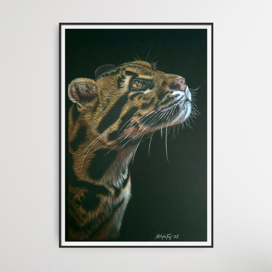 Wild Spirit