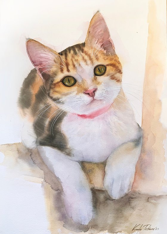 Cat portrait 30x42 cm