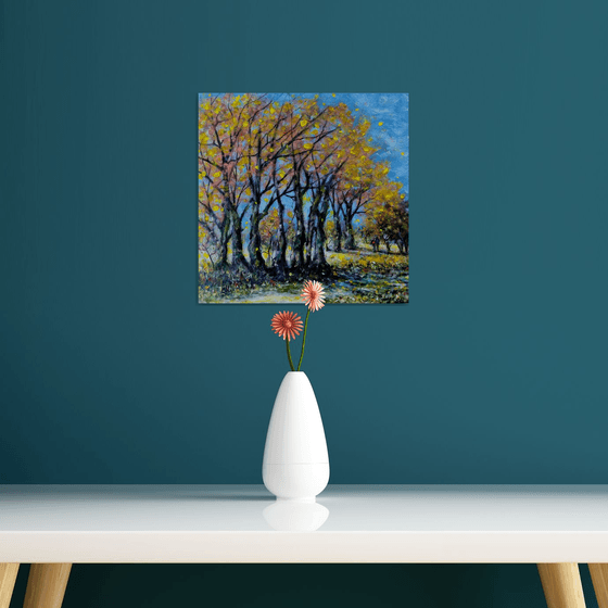 When trees tell stories