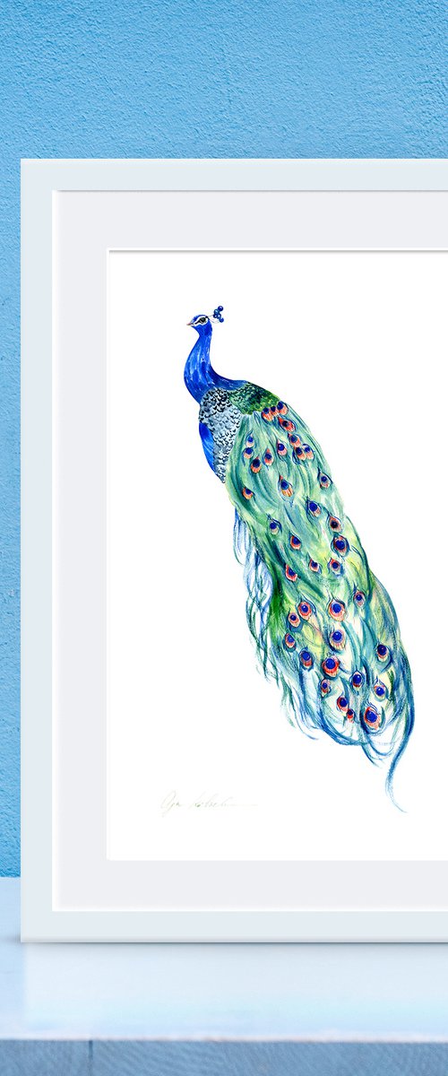 Peackock Bird by Olga Koelsch