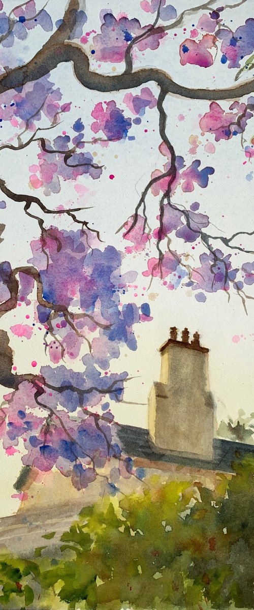 House under Jacaranda by Shelly Du