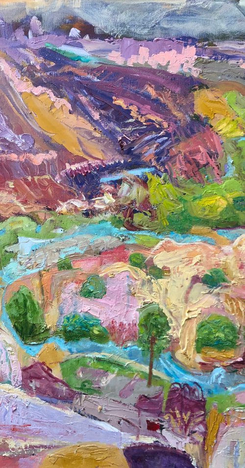 The Rio Grande Landscape by Maureen Finck