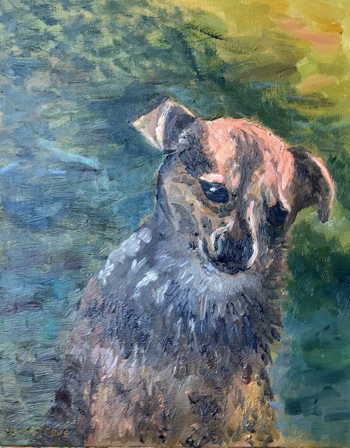 Our faithful hound 'Lola',  an original oil painting on canvas board. by Julian Lovegrove Art
