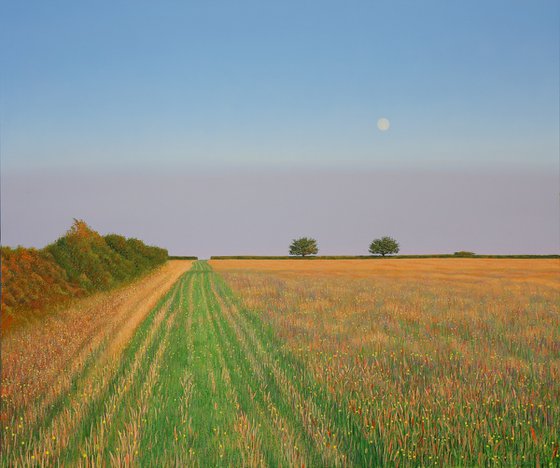 Moon over Brynhoffnant