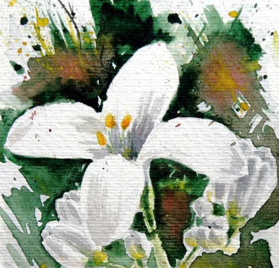 Wild flower