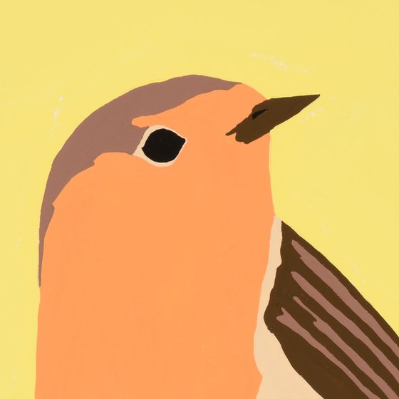 Robin