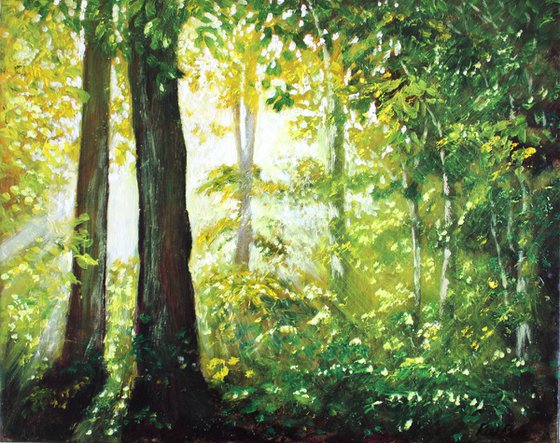 Sunlight Through the Trees