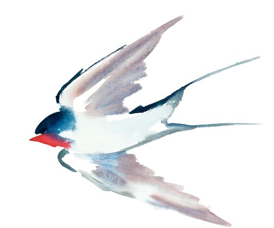 Swallow No. 37