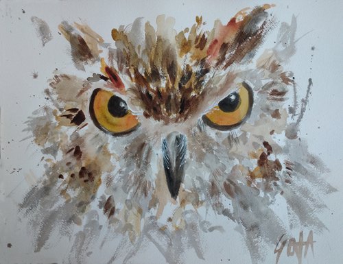 OWL by Nicolas GOIA