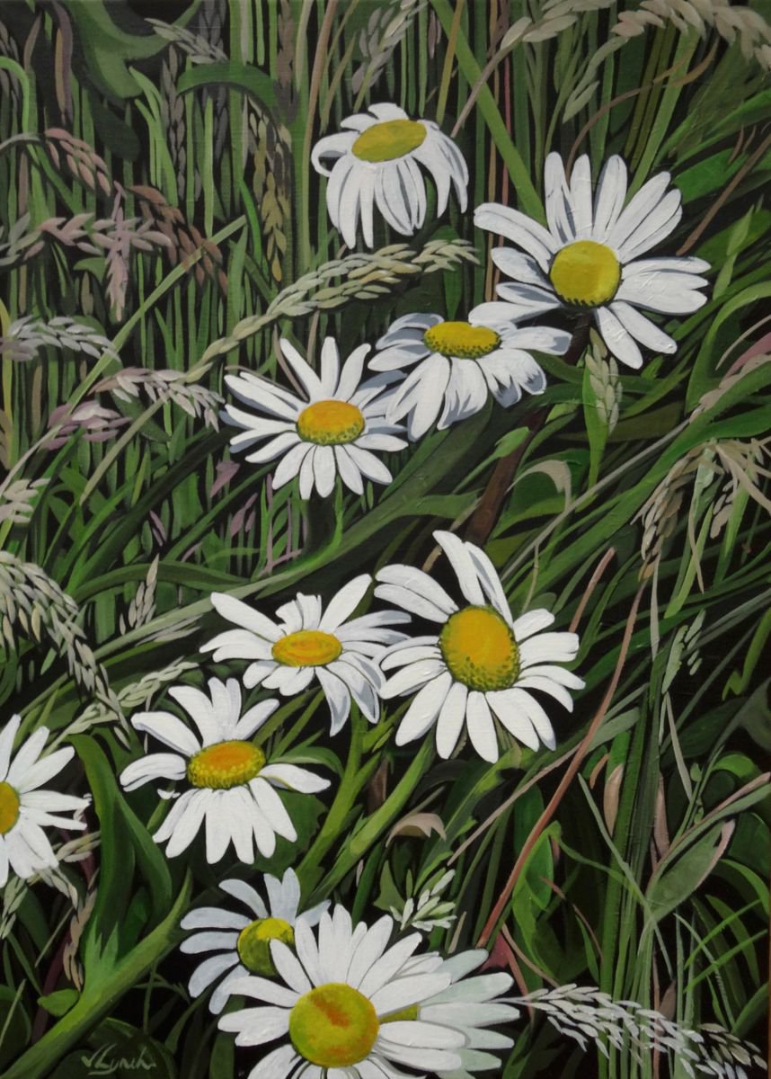 Daisy White Acrylic painting by Joseph Lynch | Artfinder