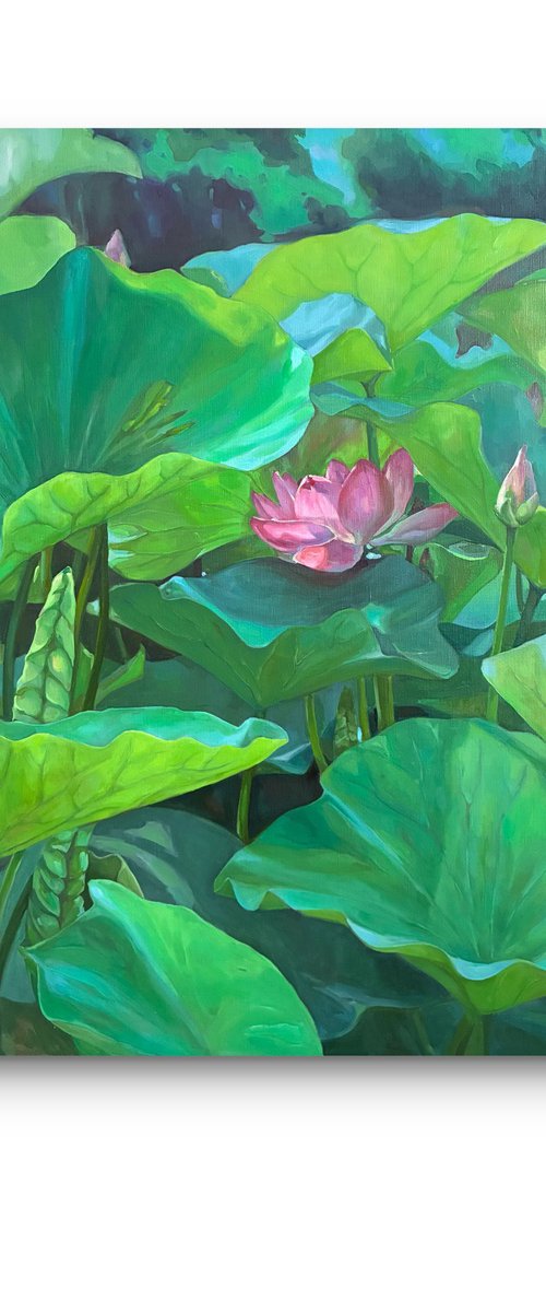 Blooming lotuses. Maturity by Guzel Min
