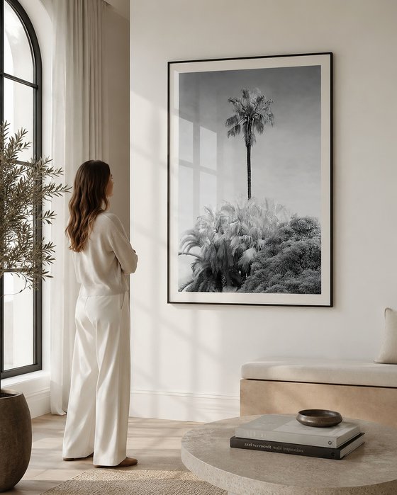 Oasis