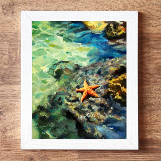 Starfish on rocky shore at summer