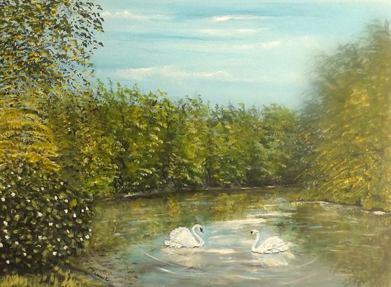 Tranquility on the Water