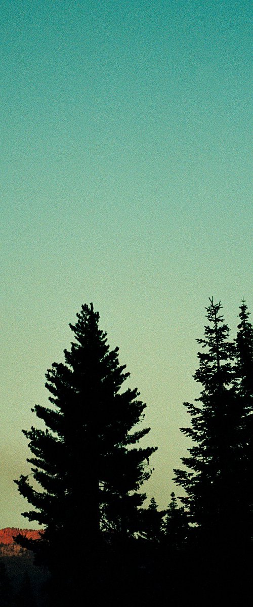 Yosemite Red by Gary Moger