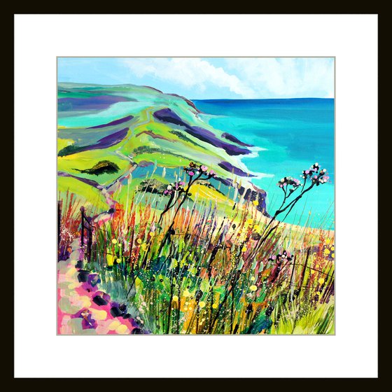 Bolberry Down - Path to Soar Mill Cove