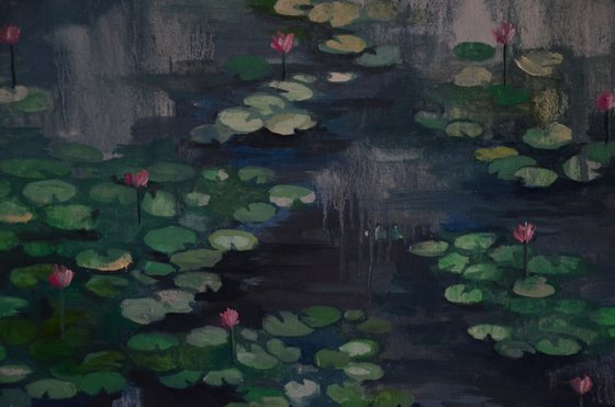 Lily pond. Petrichor