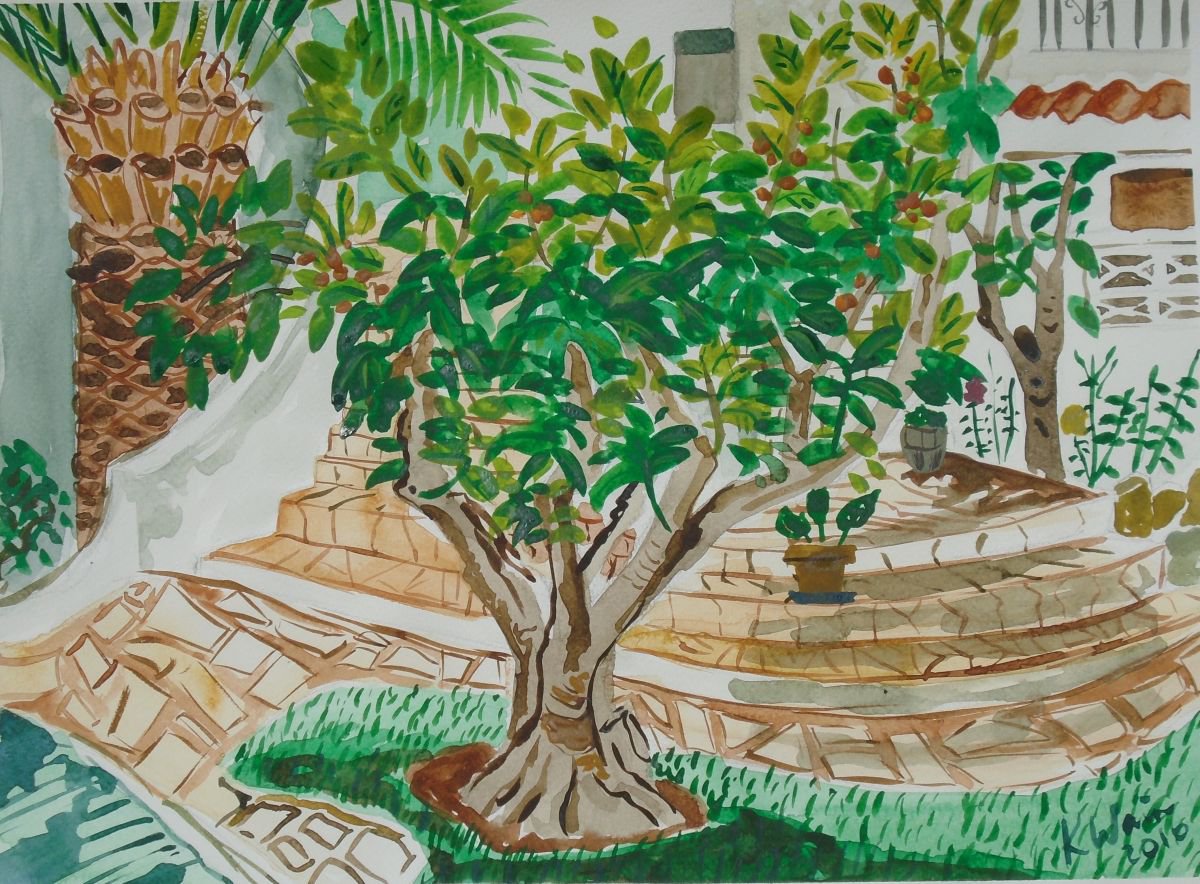 Nispero tree in Spanish Garden by Kirsty Wain