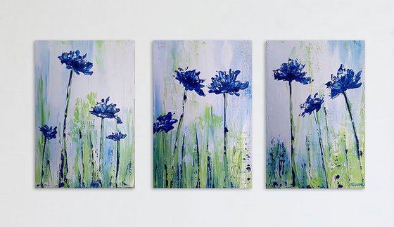 Centáureas floreciendo (Triptych)