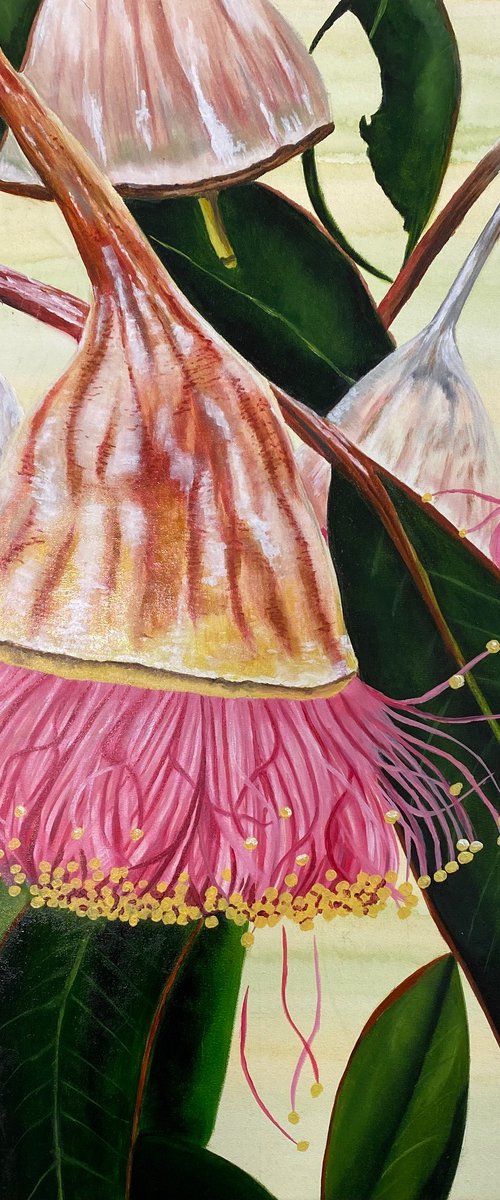 Nut in a Tutu by Wendy Peters
