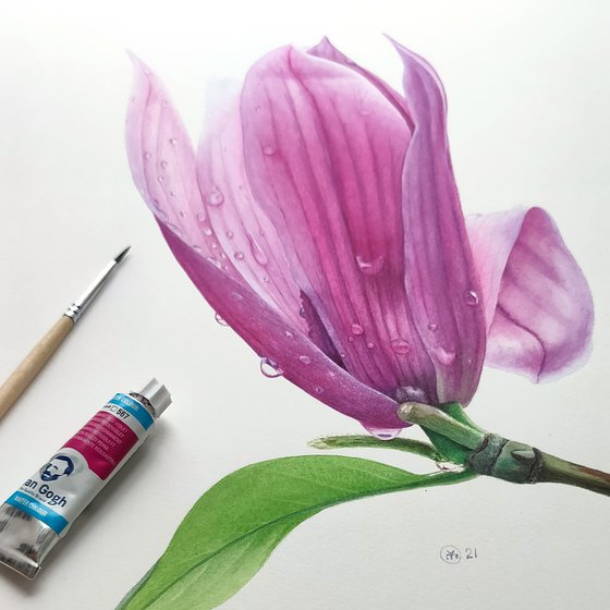 Spring Freshness