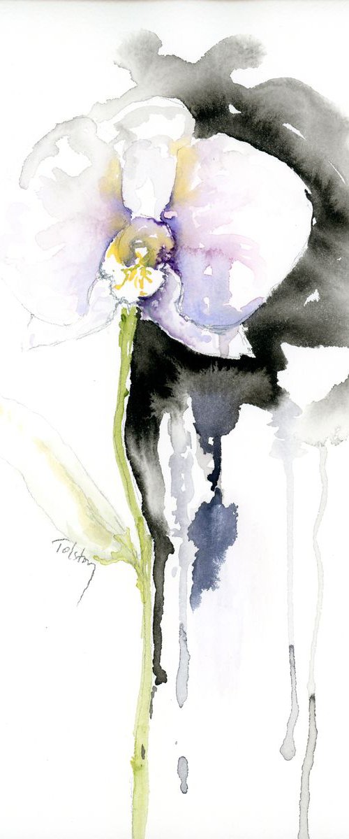 Orchid and Leaf by Alex Tolstoy